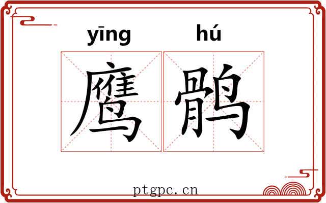 鹰鹘