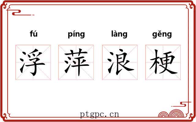 浮萍浪梗 浮萍浪梗