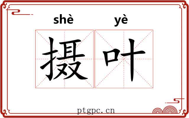 摄叶 摄叶