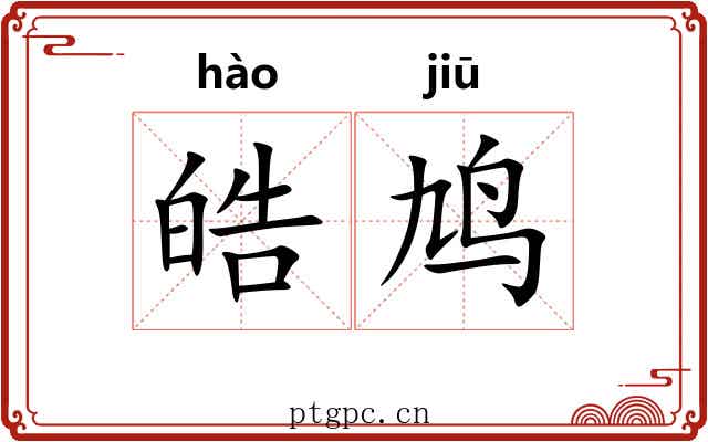 皓鸠