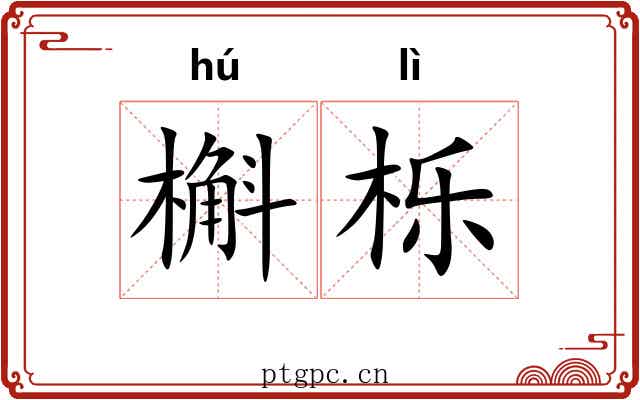 槲栎