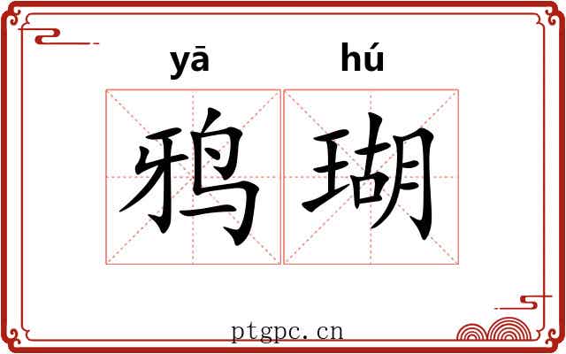鸦瑚