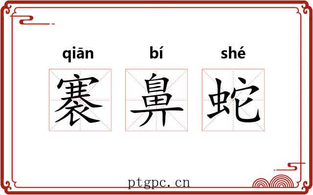 褰鼻蛇