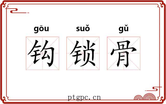 钩锁骨