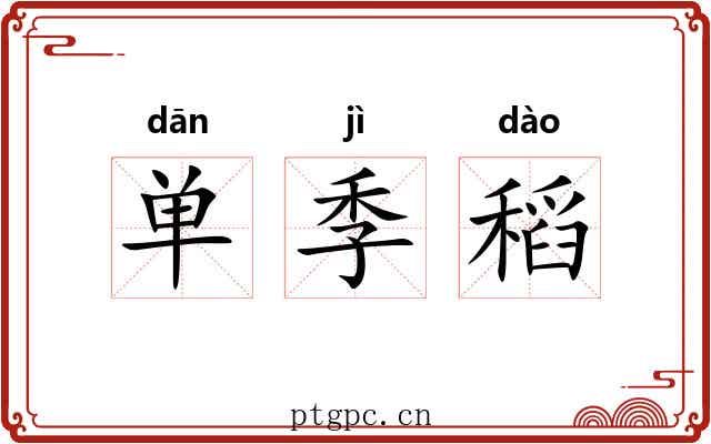 单季稻 单季稻