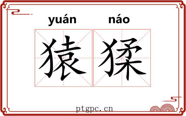 猿猱