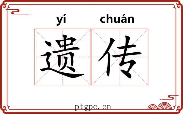 遗传 遗传