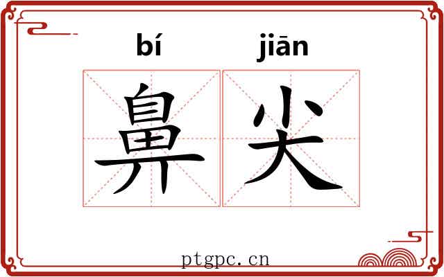 鼻尖