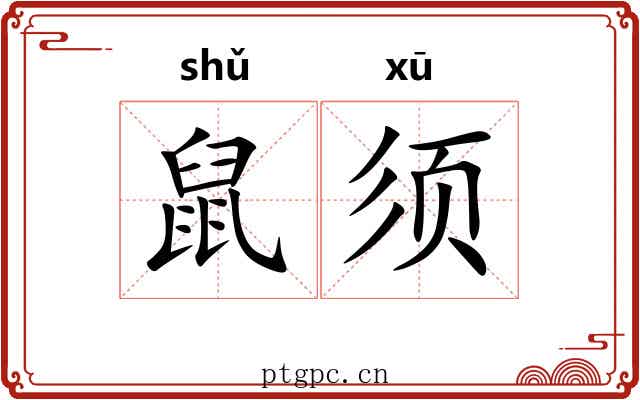 鼠须