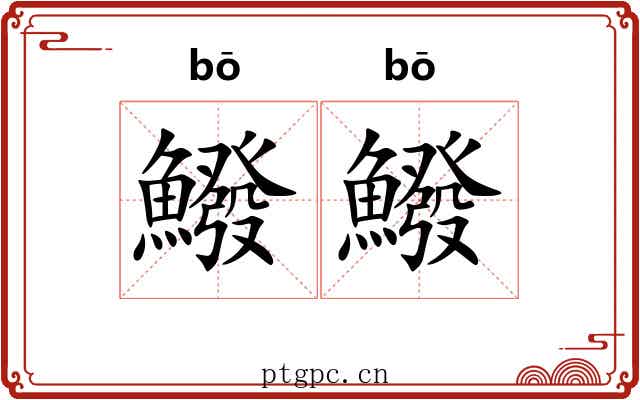 鱍鱍