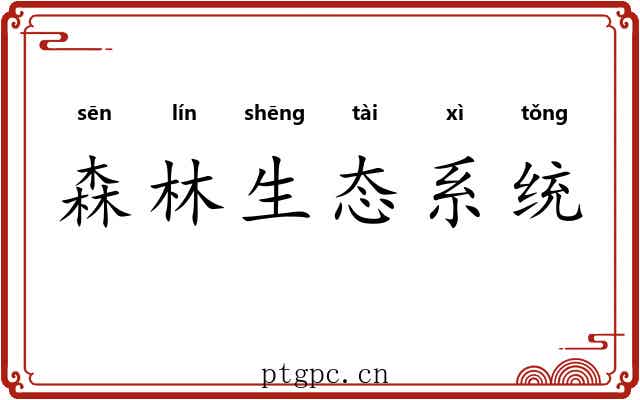 森林生态系统 森林生态系统