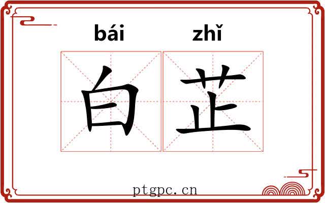 白芷 白芷