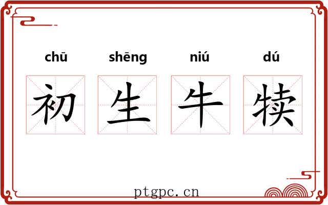 初生牛犊 初生牛犊
