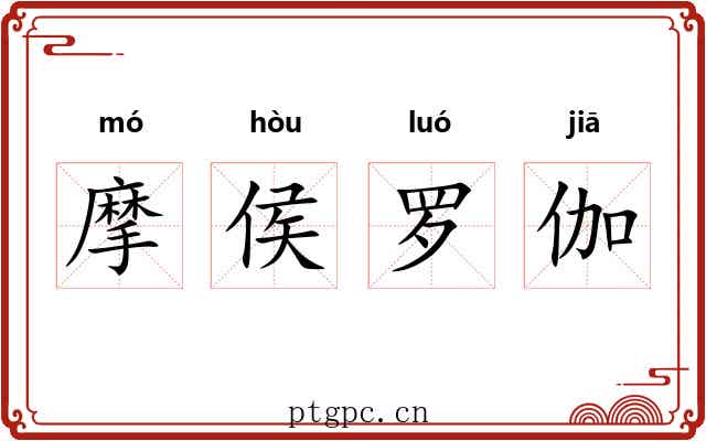 摩侯罗伽
