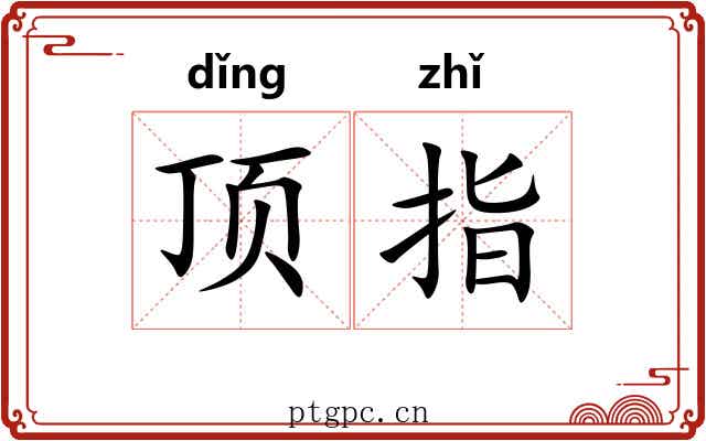 顶指
