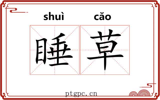 睡草 睡草