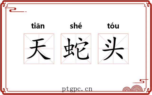 天蛇头 天蛇头