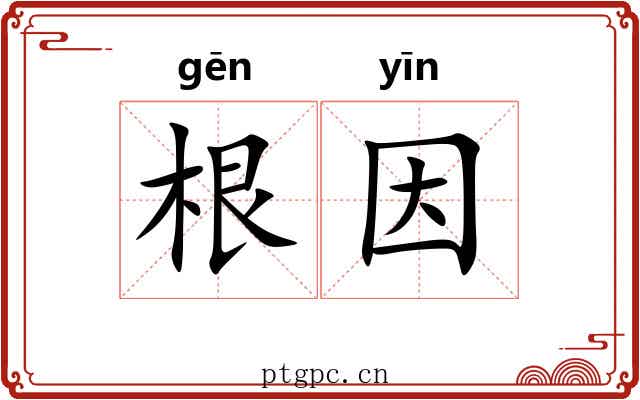 根因 根因
