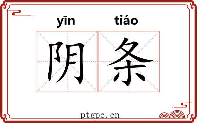 阴条