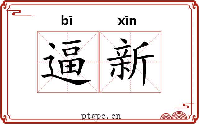 逼新 逼新