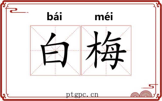 白梅 白梅