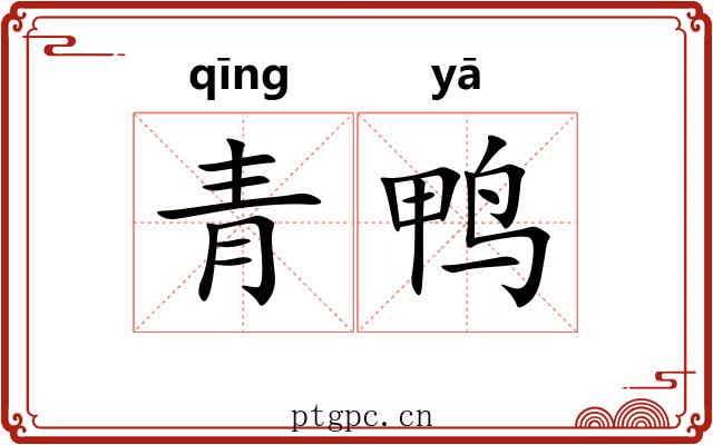 青鸭