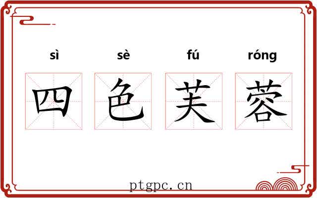 四色芙蓉 四色芙蓉