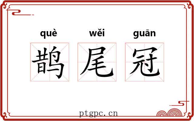 鹊尾冠
