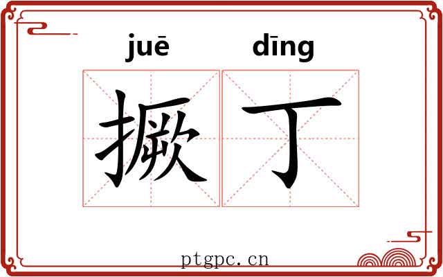 撅丁