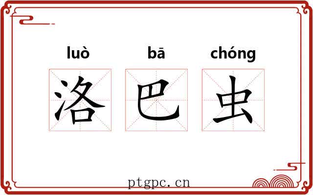 洛巴虫