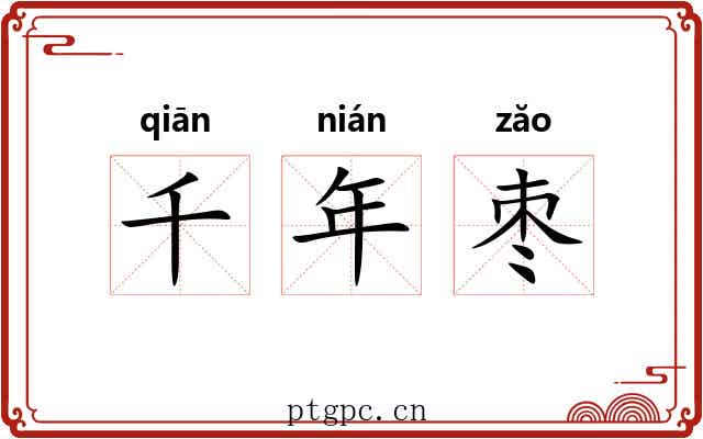 千年枣 千年枣