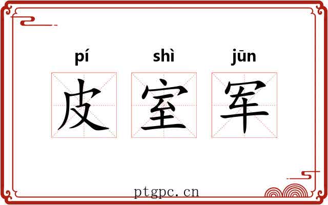皮室军 皮室军