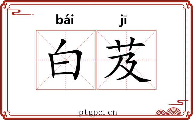 白芨 白芨