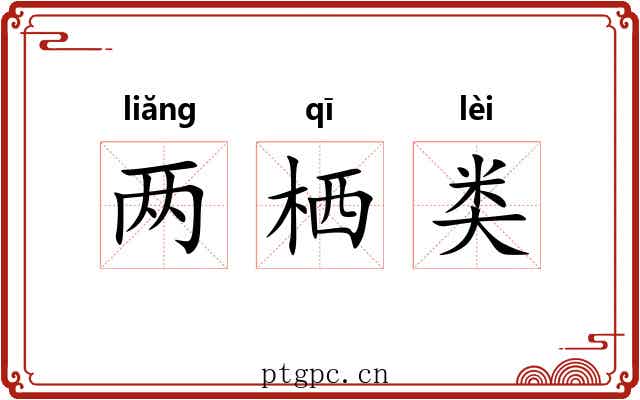 两栖类 两栖类