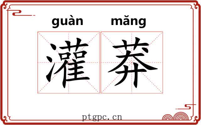 灌莽