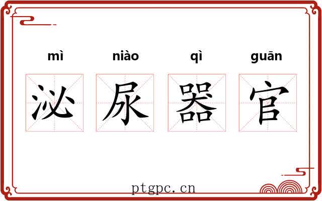 泌尿器官 泌尿器官