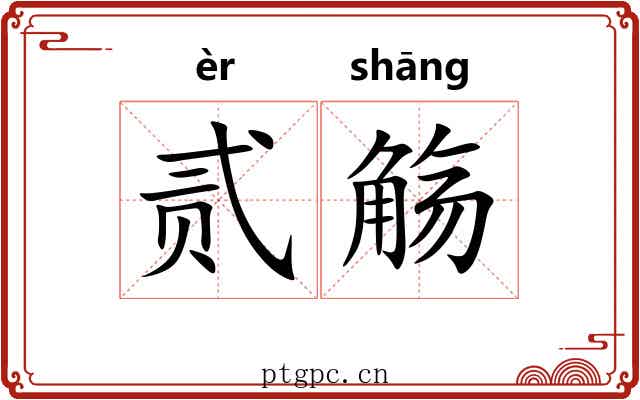 贰觞