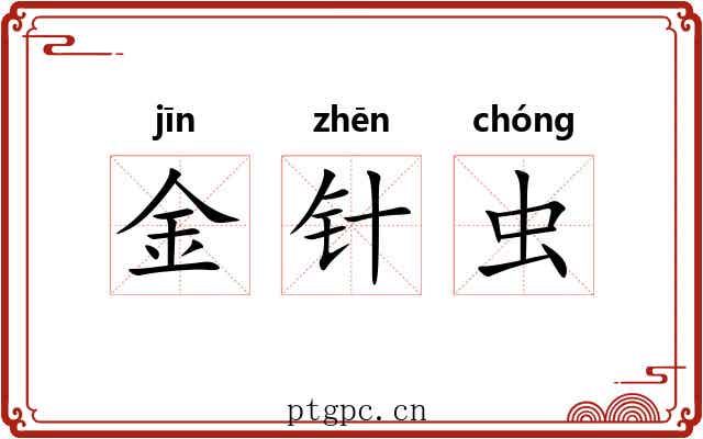 金针虫