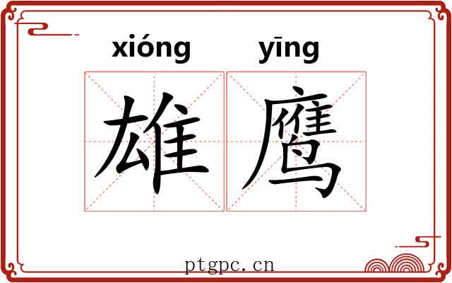 雄鹰