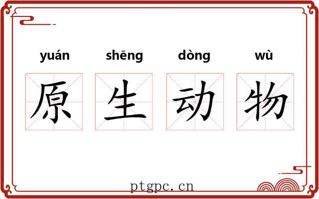 原生动物 原生动物
