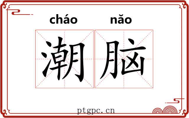 潮脑 潮脑