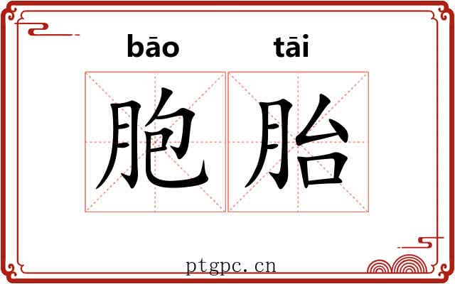 胞胎 胞胎