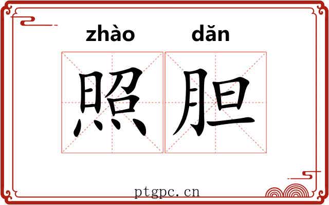 照胆