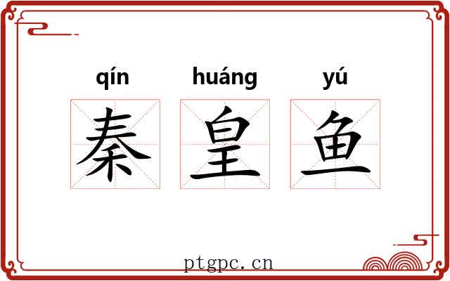 秦皇鱼 秦皇鱼