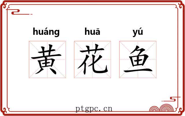 黄花鱼