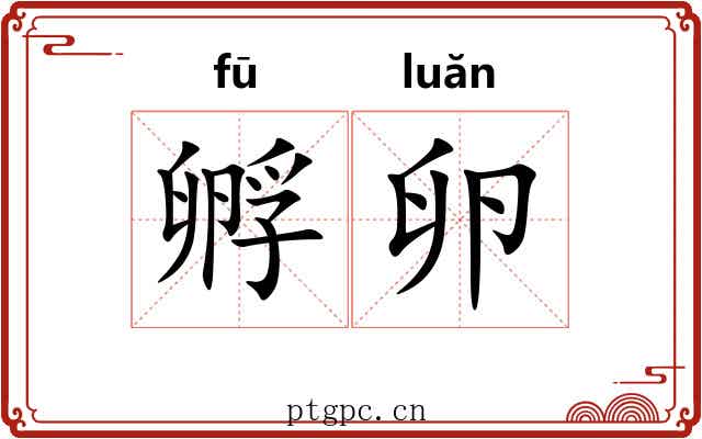 孵卵