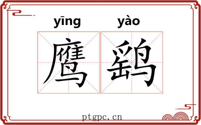 鹰鹞