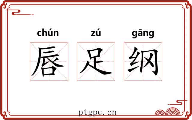 唇足纲