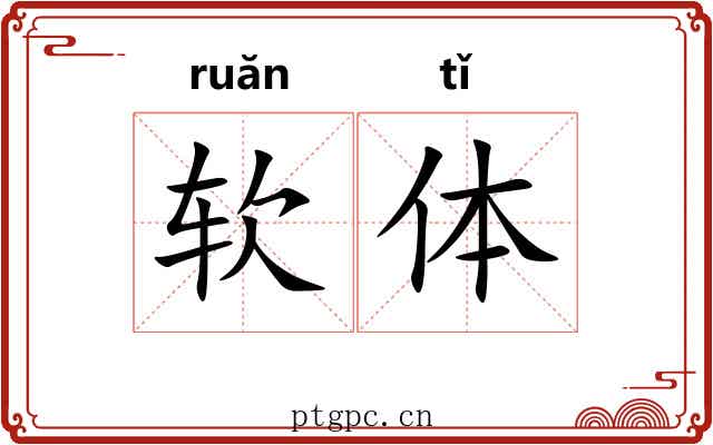 软体 软体