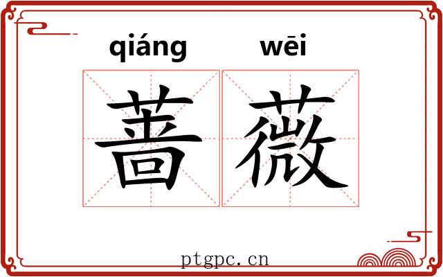 蔷薇 蔷薇
